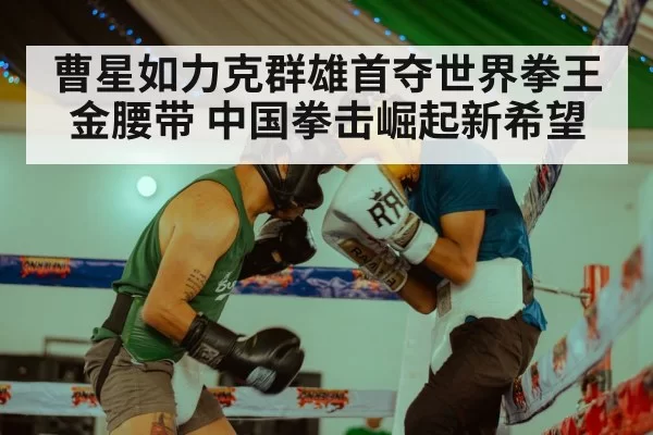 boxing gloves action