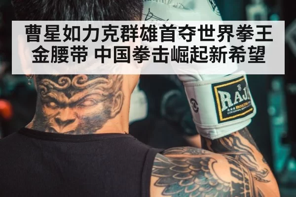 chinese boxer training